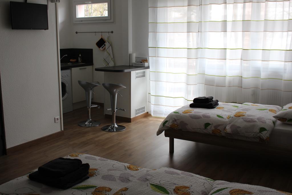 Studios Near Basel Airport Saint-Louis  Exteriér fotografie